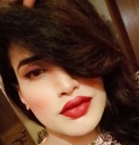 Maham Doll - Transsexual escort in Islamabad