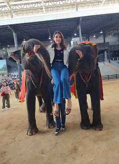 Maia Thailand New in UAE - Masajista in Ajmān Photo 6 of 9