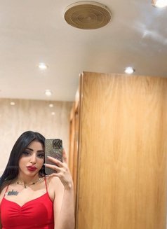 Maialex - escort in Alexandria Photo 17 of 19