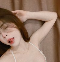Mainami - escort in Tirana