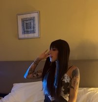 Maitê - escort in Belfast