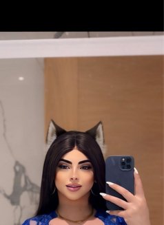 Malak - Transsexual escort in Jeddah Photo 1 of 6