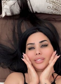 Malak - escort in Beirut Photo 3 of 3