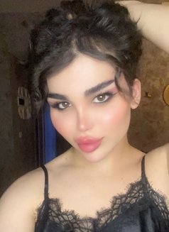 Malak - Transsexual escort in Erbil Photo 12 of 17