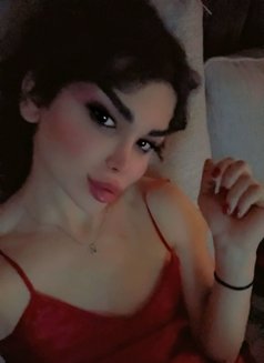 Malak - Transsexual escort in Erbil Photo 15 of 17