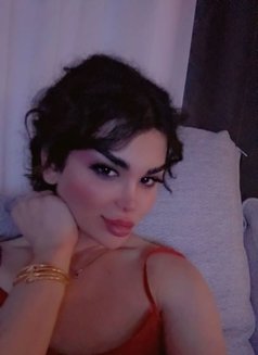 Malak - Transsexual escort in Erbil Photo 16 of 17