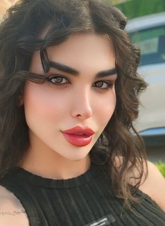 Malak - Acompañantes transexual in Erbil Photo 13 of 14