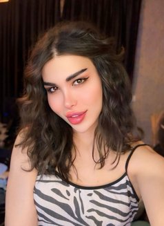 Malak - Acompañantes transexual in Erbil Photo 14 of 14