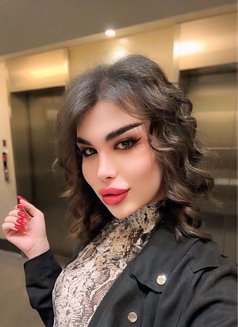 Malak - Transsexual escort in Erbil Photo 16 of 16