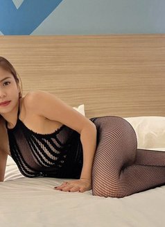 Malay Amara Just arrived - escort in Singapore Photo 16 of 16