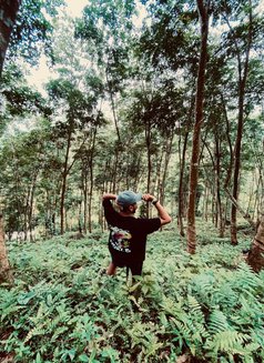 Blissful Hands Professional Massage, mas - Male escort in Colombo Photo 4 of 4