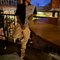 Male Escort | No Agent - Male escort in Hyderabad