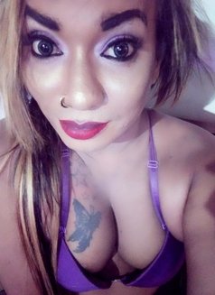 Malee - Transsexual escort in Colombo Photo 2 of 8