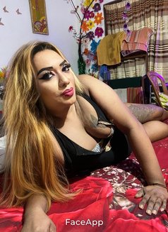 Maleina - Transsexual escort in Colombo Photo 6 of 9