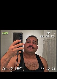 Malek - Male escort in London Photo 5 of 5