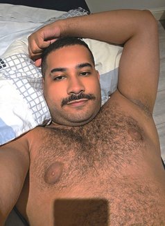 Malek - Male escort in London Photo 1 of 8