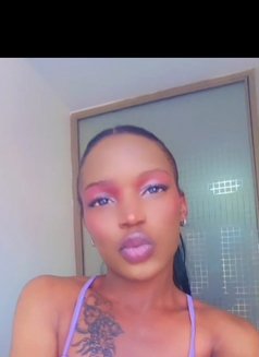 Mali - Transsexual escort in Nairobi Photo 1 of 2