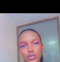 Mali - Transsexual escort in Nairobi