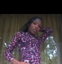 Mali - Acompañantes transexual in Nairobi