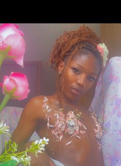Mali - Acompañantes transexual in Nairobi Photo 6 of 6