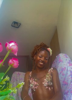 Mali - Acompañantes transexual in Nairobi Photo 3 of 7