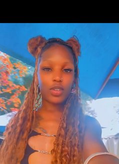 Mali - Acompañantes transexual in Nairobi Photo 5 of 7