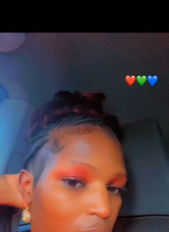 Mali - Acompañantes transexual in Nairobi Photo 6 of 7