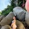 Mali sexy lady - escort in Phuket