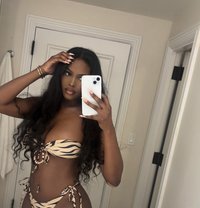 Malia - escort in Dubai