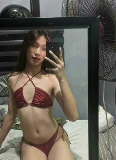 Malia Dominant Ts - Transsexual escort in Manila Photo 1 of 5