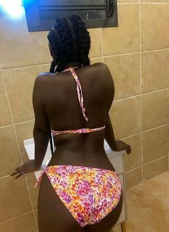 Malia,incall and outcall - escort in Mysore Photo 1 of 3