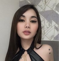 Malia New Face Here Limited days - escort in Taipei