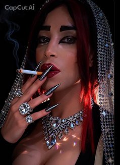 Malika Dallou3a - Transsexual escort in Beirut Photo 8 of 12