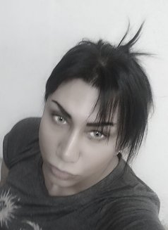Malika - Acompañantes transexual in Cairo Photo 5 of 9