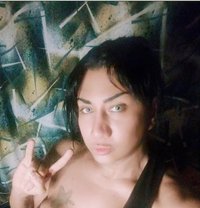 Malika - Transsexual escort in Cairo
