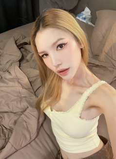 Malina - escort in Phuket Photo 4 of 10