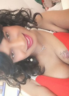 Tania Lopez - Spicy boobs - Acompañantes transexual in Colombo Photo 5 of 23