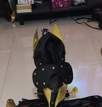 Rebecca Roy Big Dick - Acompañantes transexual in Candolim, Goa