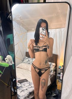 Mallorie Star - Transsexual escort in Singapore Photo 6 of 14
