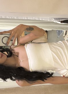 Mallorie Star - Transsexual escort in Singapore Photo 10 of 14