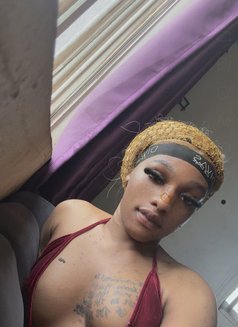 Mallory - Transsexual escort in Lagos, Nigeria Photo 4 of 4