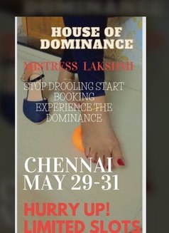 Mallu Mistress at Chennai - dominatrix in Chennai Photo 1 of 1