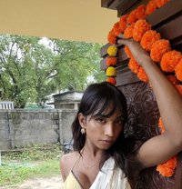 Mallu Shemale Model - Transsexual escort in Kochi