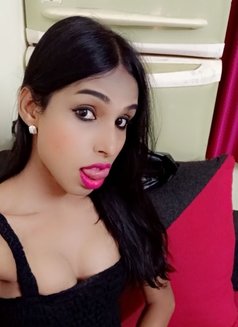 Mallu Shemale Roshni - Transsexual escort in Chennai Photo 1 of 6