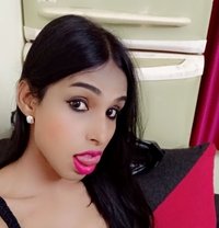 Mallu Shemale Roshni - Transsexual escort in Chennai