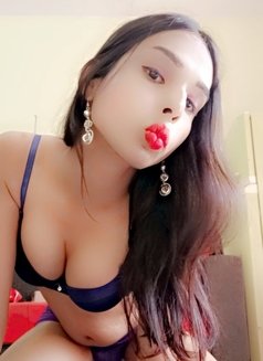 Mallu sexy item Shemale Roshni - Transsexual escort in Chennai Photo 2 of 6