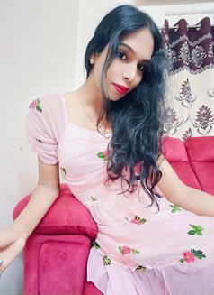 Mallu Shemale Sexy Roshni - Transsexual escort in Chennai Photo 2 of 11