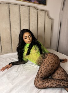 Mandy - escort in Dubai Photo 11 of 11