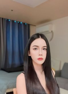 Mango VVip in Pyeongtaek Songtan Now! - Transsexual escort in Seoul Photo 11 of 23