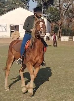 Mani Soul Star - Male escort in New Delhi Photo 3 of 3